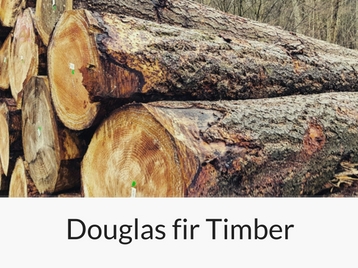 douglas-fir-timber raw