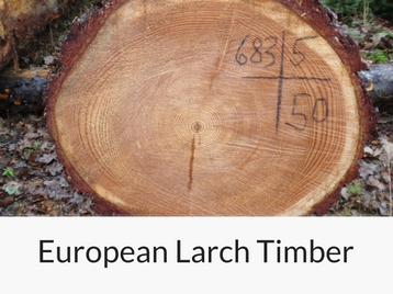 european-larch-timber raw