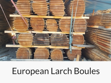 european-larch-boules