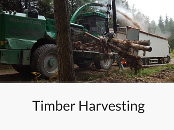 Services - Timber Harvesting